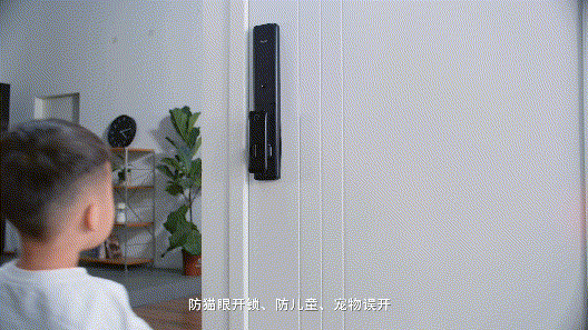 无惧小黑盒，海尔智家P18智能门锁三重CPU，安全智能还省心