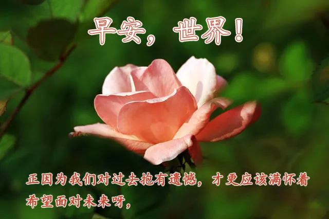 2021年关于早上好的最新图片 早安问候语致自己图片