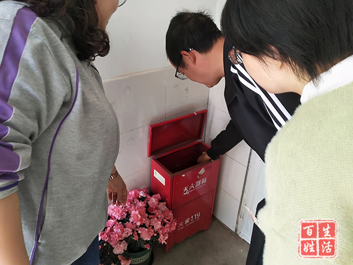 �ɶ���������Ӣ��Сѧ��չ��ɭ�ַ�������������������