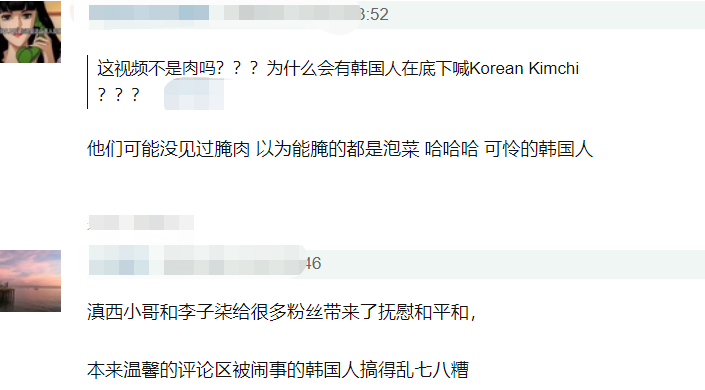 李子柒被韩国网友围攻，中国博主联手回击，发布酸菜视频标题显眼
