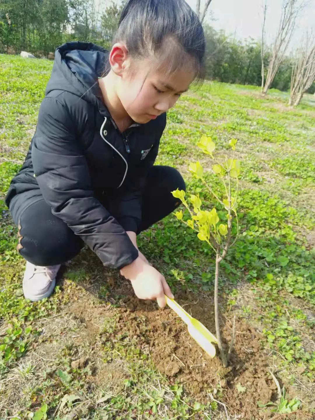 ��֮��.ֲ�̻���--�����еھ�Сѧֲ���ڻ��Ӱ