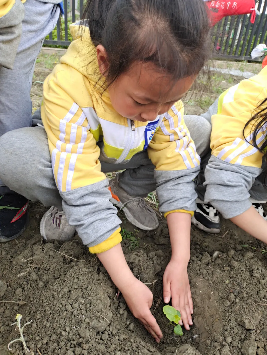 双流区实验小学外国语学校丨最美人间四月天 幸福农场齐生长