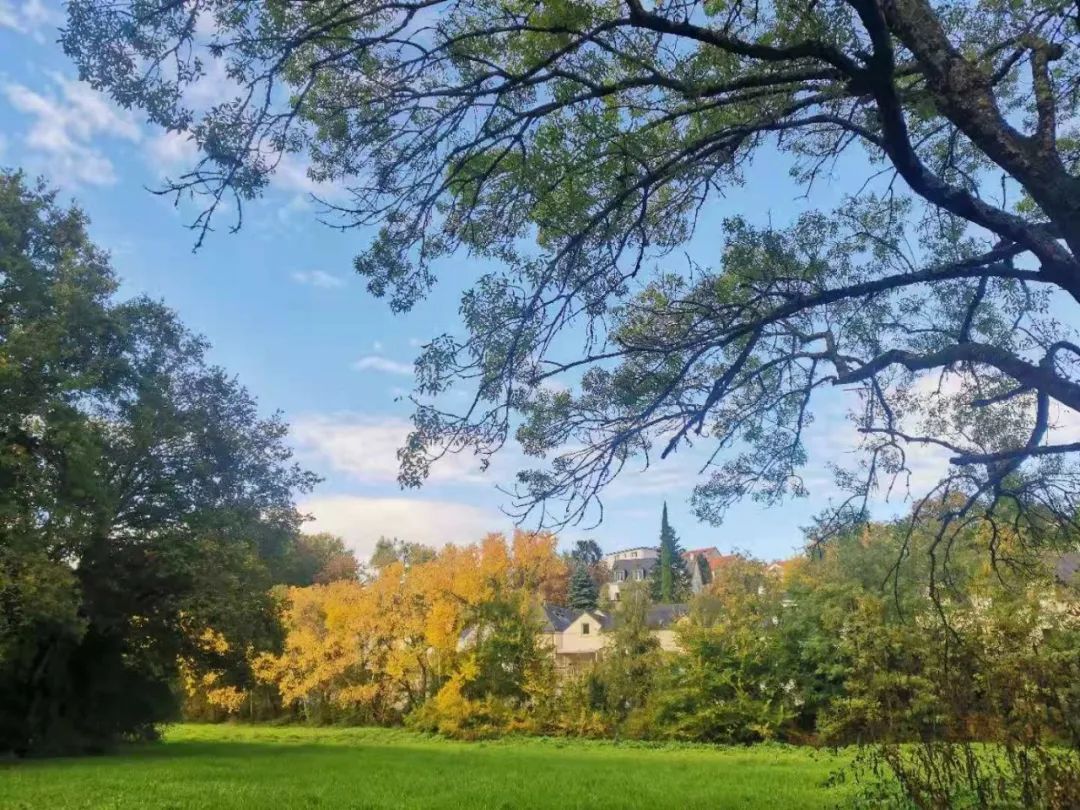 学姐说｜“空闲时间也都是很忙碌的”，南特高商GE项目就读体验