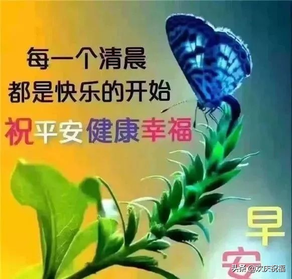 清晨早上好的问候语和唯美图片大全图片