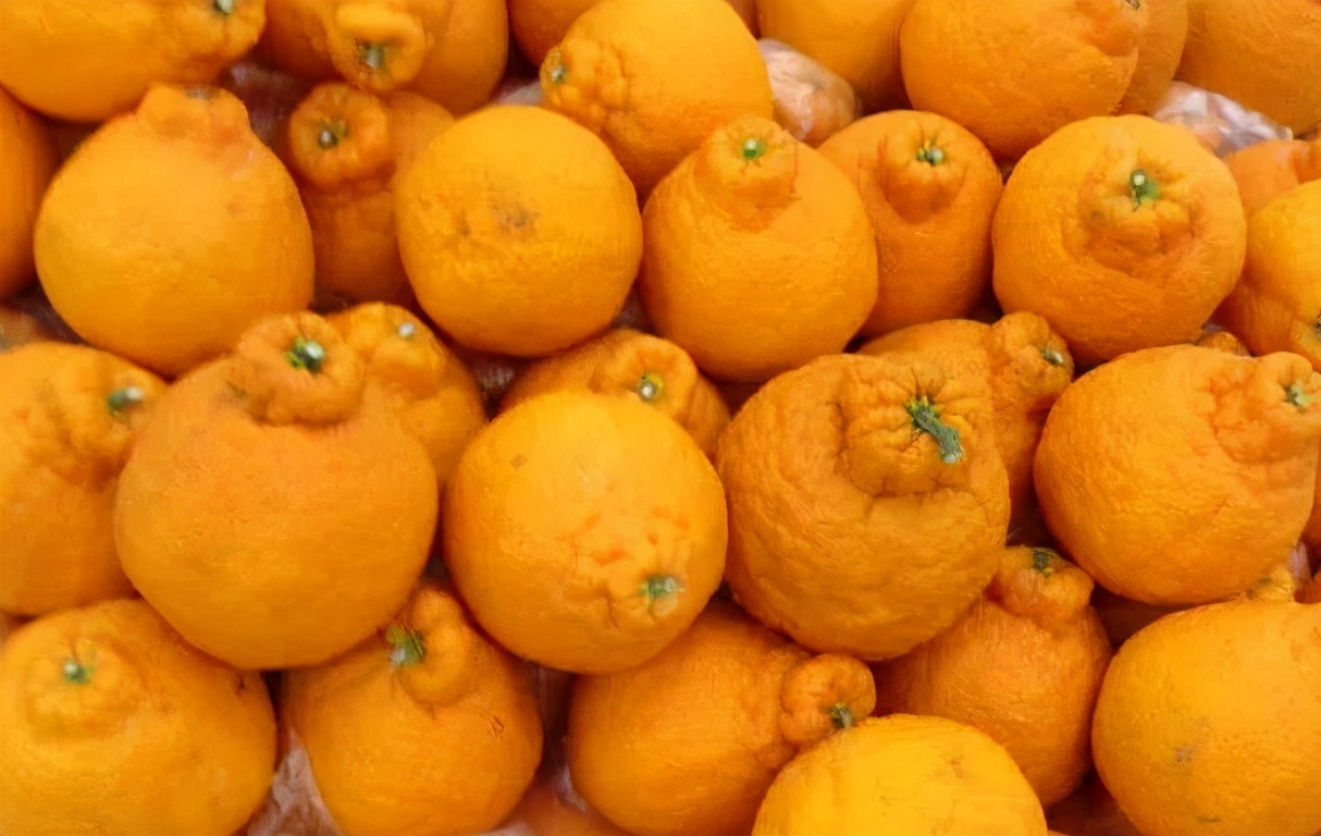 買醜橘，硬的軟的哪種好？ 教您4招挑選技巧，容易買到香甜多汁的
