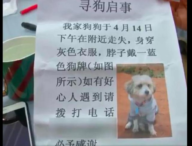 狗狗走丢4天自己回家，还带回一张字条，内容让人看哭