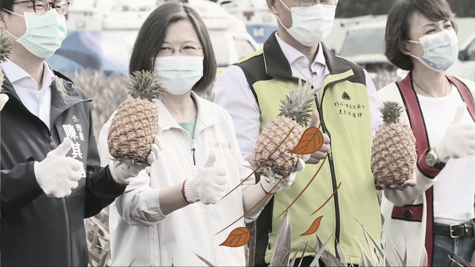 �暫停�卻被偷換概念成了�禁止�蔡當局操作�敵我矛盾�