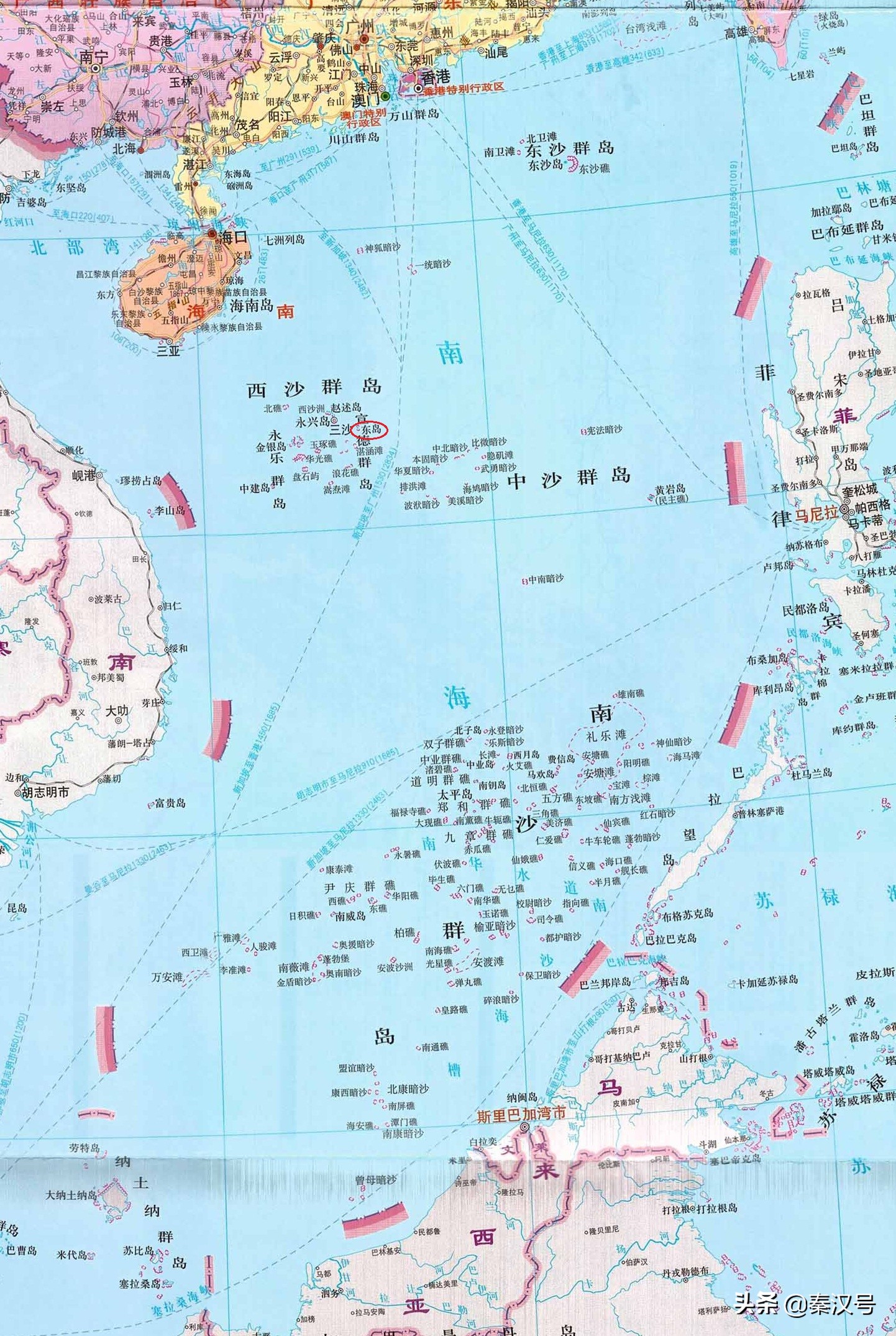 西沙東島野牛群來歷不明 牛糞給了答案 牛和島都是中國的 秦漢號 Mdeditor