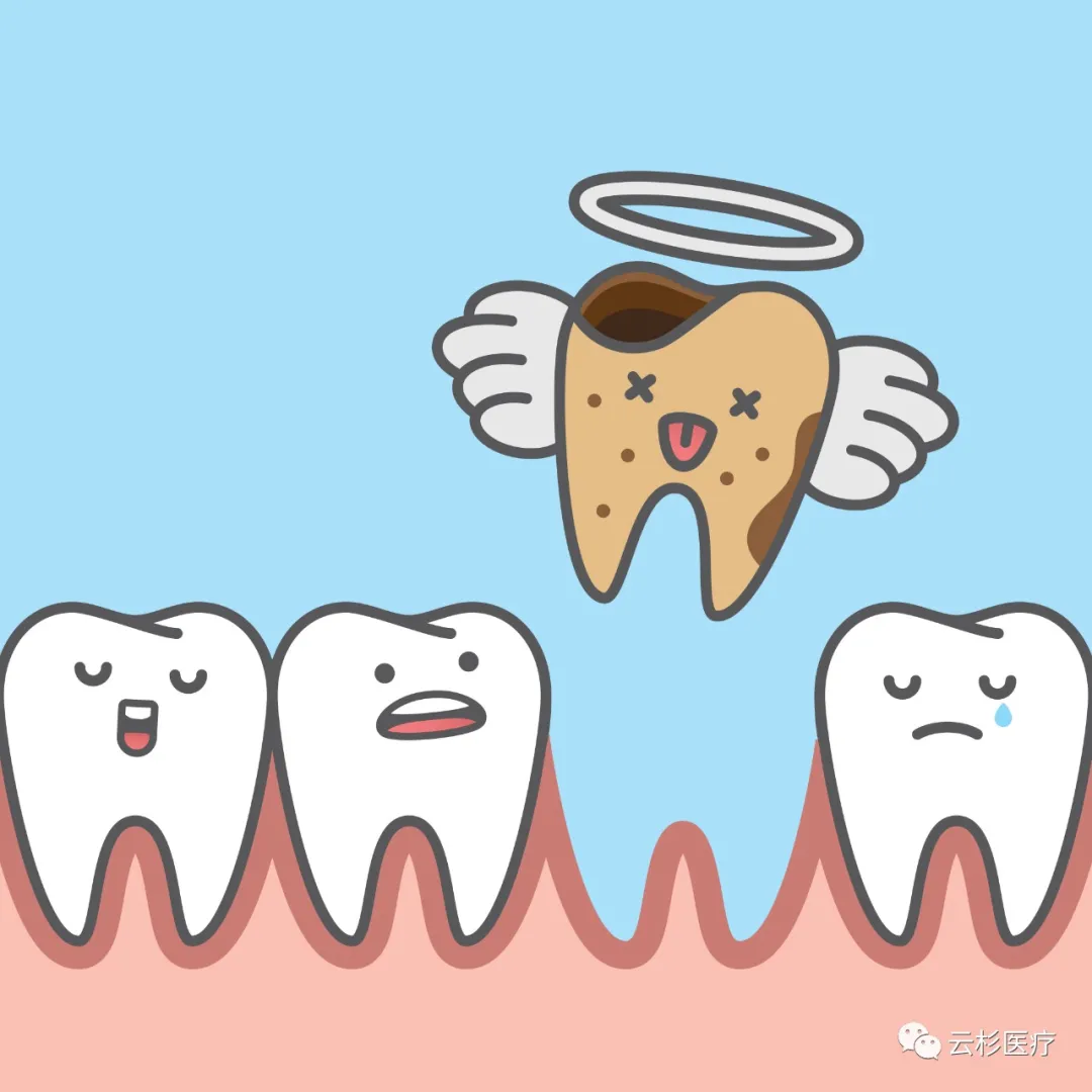 春分时节萌新"牙",缺牙重圆终有时