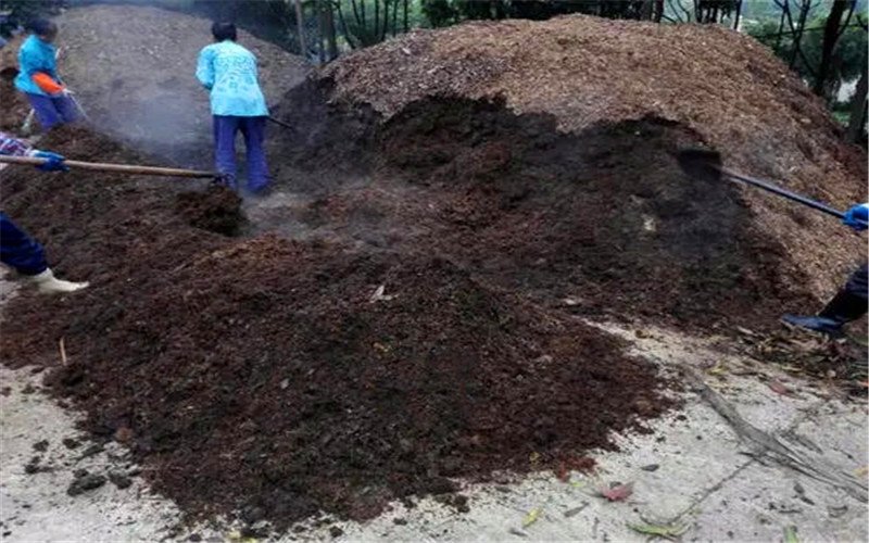 50多岁的人创业，想在农村开个小工厂，有哪些项目可以选择？