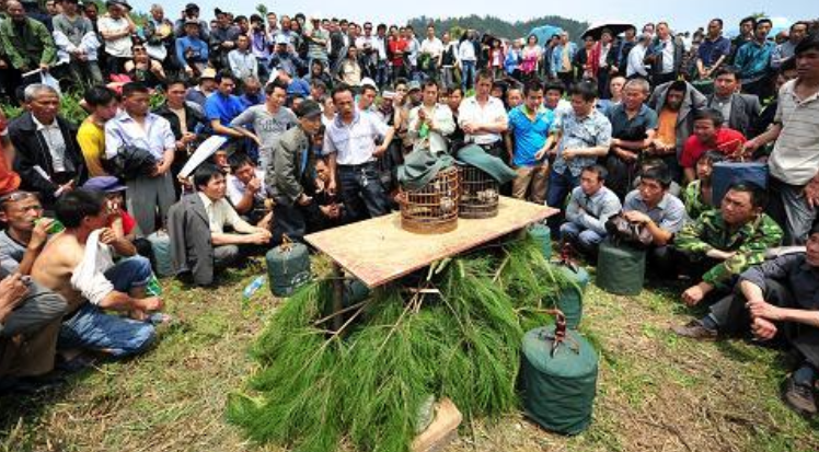 德專家：中國這麼有錢，卻出現與日本相同危機，無法理解