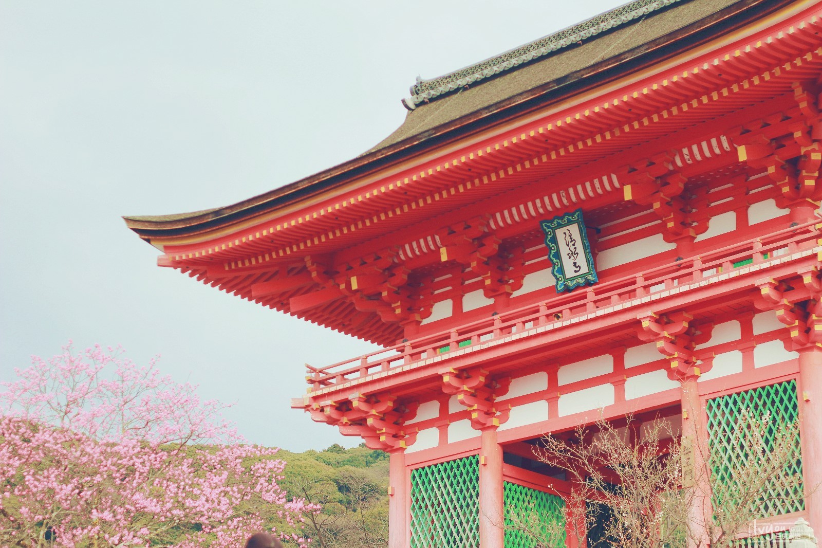 南宋灭亡后 日本因南宋灭亡而举国吃素 其实这只是千年的误会 Zh中文网