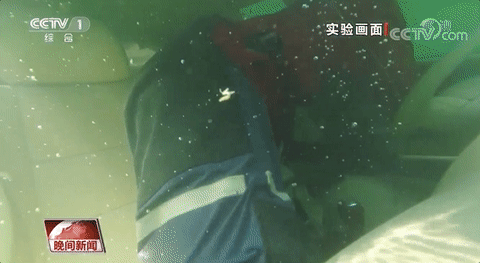 車輛涉水如何自救？超實用指南→
