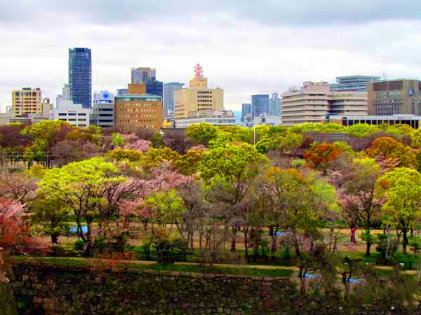 日本琦玉助威北京国安足球队亚冠赛（图）