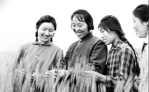 毛時代產(chǎn)生的邢燕子,穿越時代的正能量之三:官為民仆成誦成典