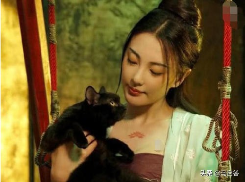 张雨绮这个“姐中哈士奇”真的不招人喜欢吗？