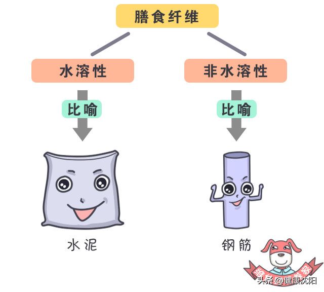 健康知識普及行動系列科普知識講座之合理膳食篇