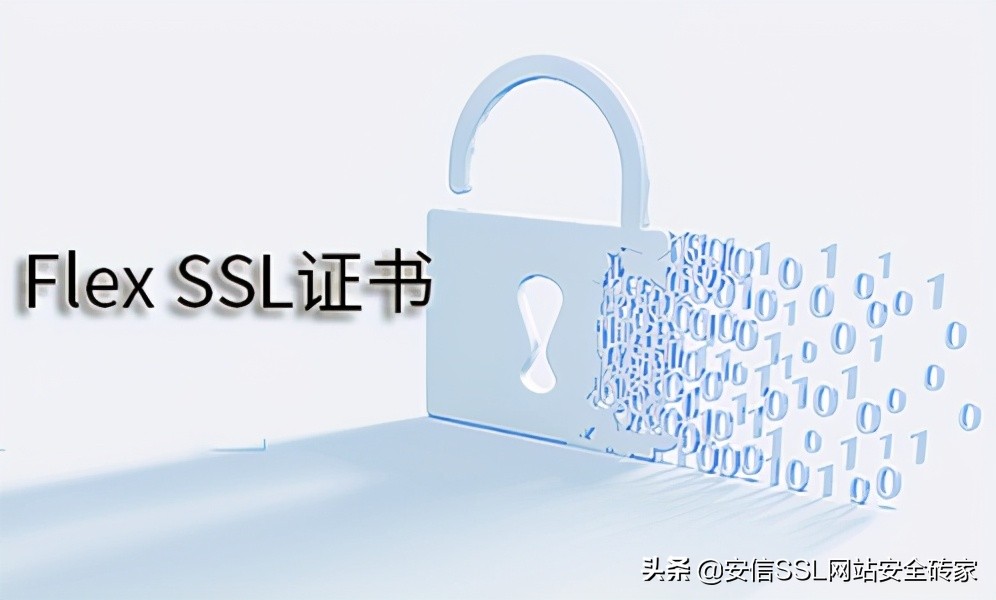 Flex SSL證書是什么？Flex SSL證書怎么樣