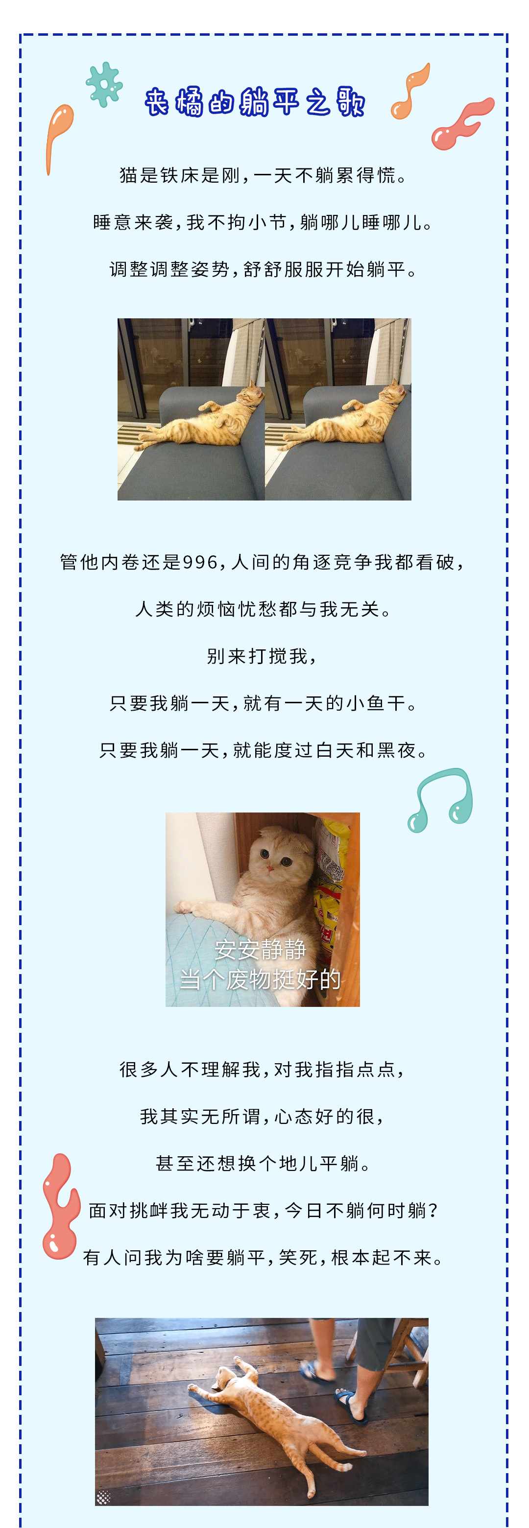 论躺平，我只服橘猫