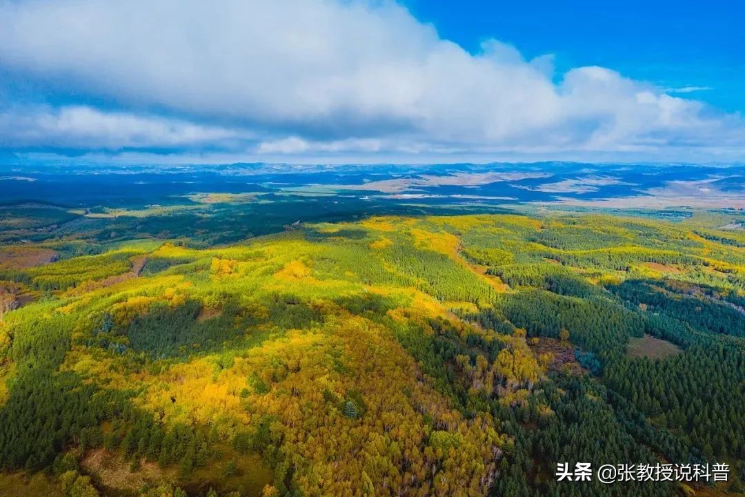 全球变暖，塔克拉玛干沙漠遭遇罕见洪水，未来会变成绿洲吗？