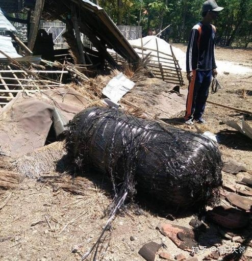 ����5��B����к�;��ŦԼ����������Ҫ��������Ŀ�ĺ��ڣ�