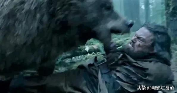 2.2分《犬王》为戏炸死功勋军犬,导演引起公愤遭网友打出超低分