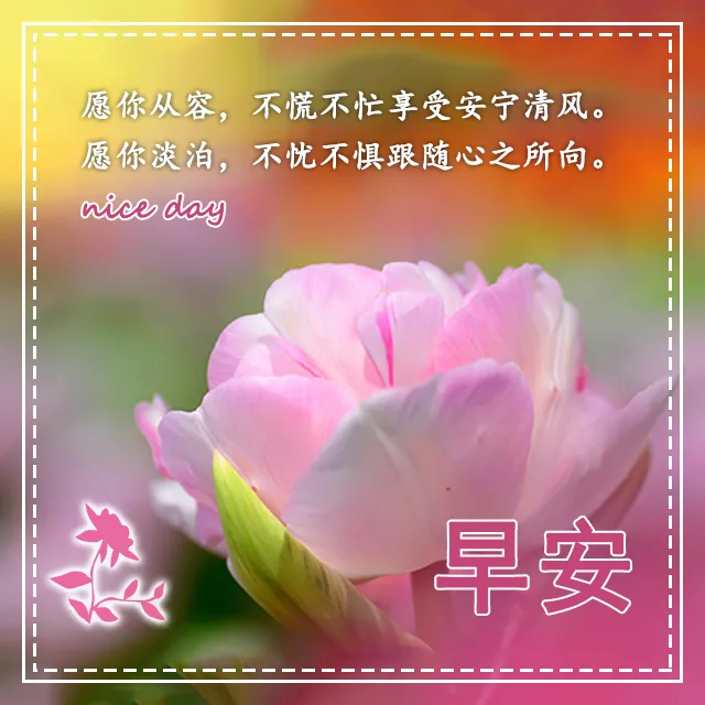 2021年关于早上好的最新图片 早安问候语致自己图片