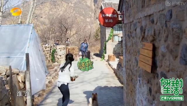 24927个恶评，谢娜人品，离开何炅谢娜还能走多远