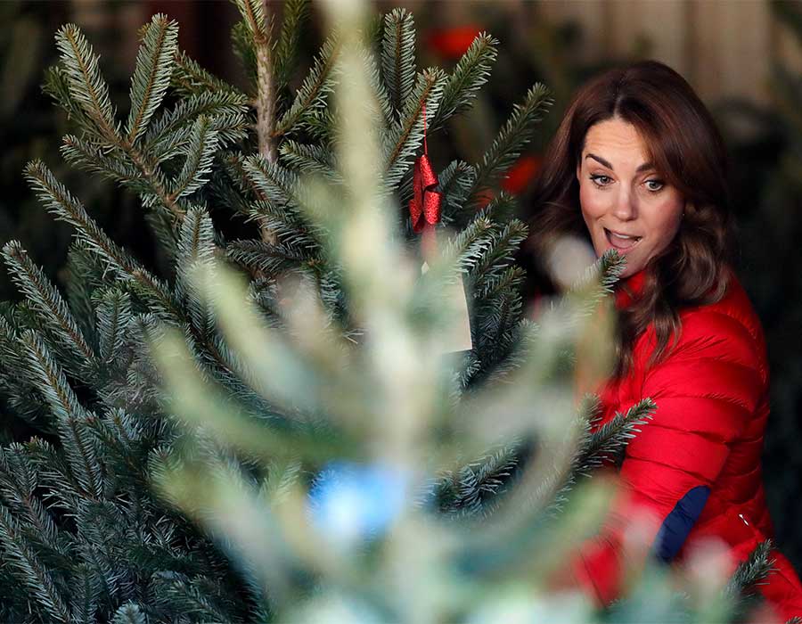 敬业的凯特工作中有趣、感人、甚至尴尬的瞬间