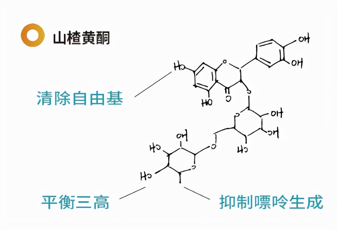 相聚时喝什么？一瓶圣八礼搞定