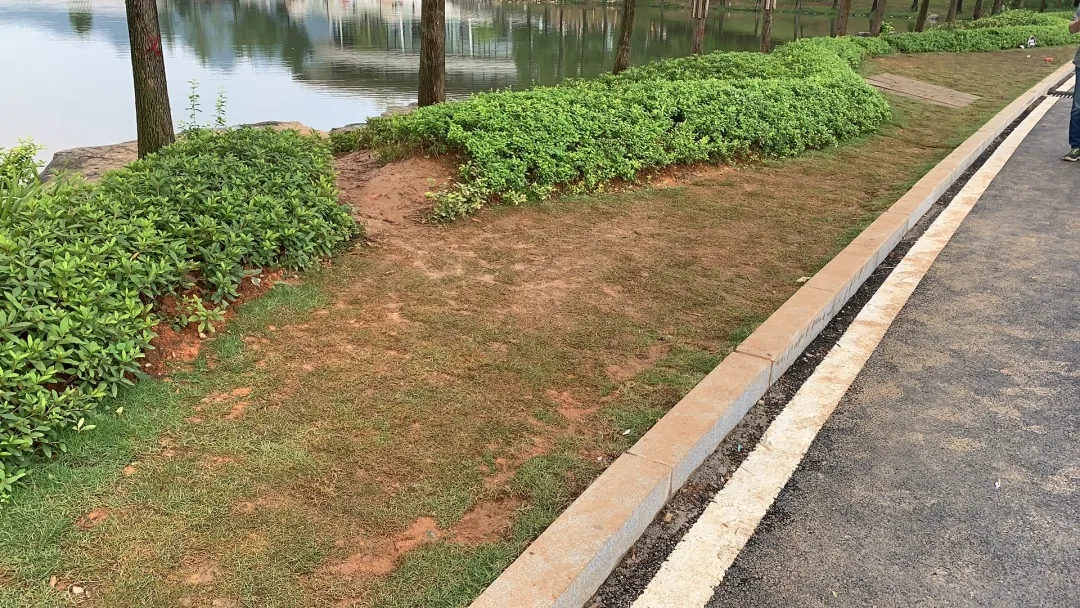 桂海晴岚数万人打卡！爆红之后的种种却让度假区不堪重负