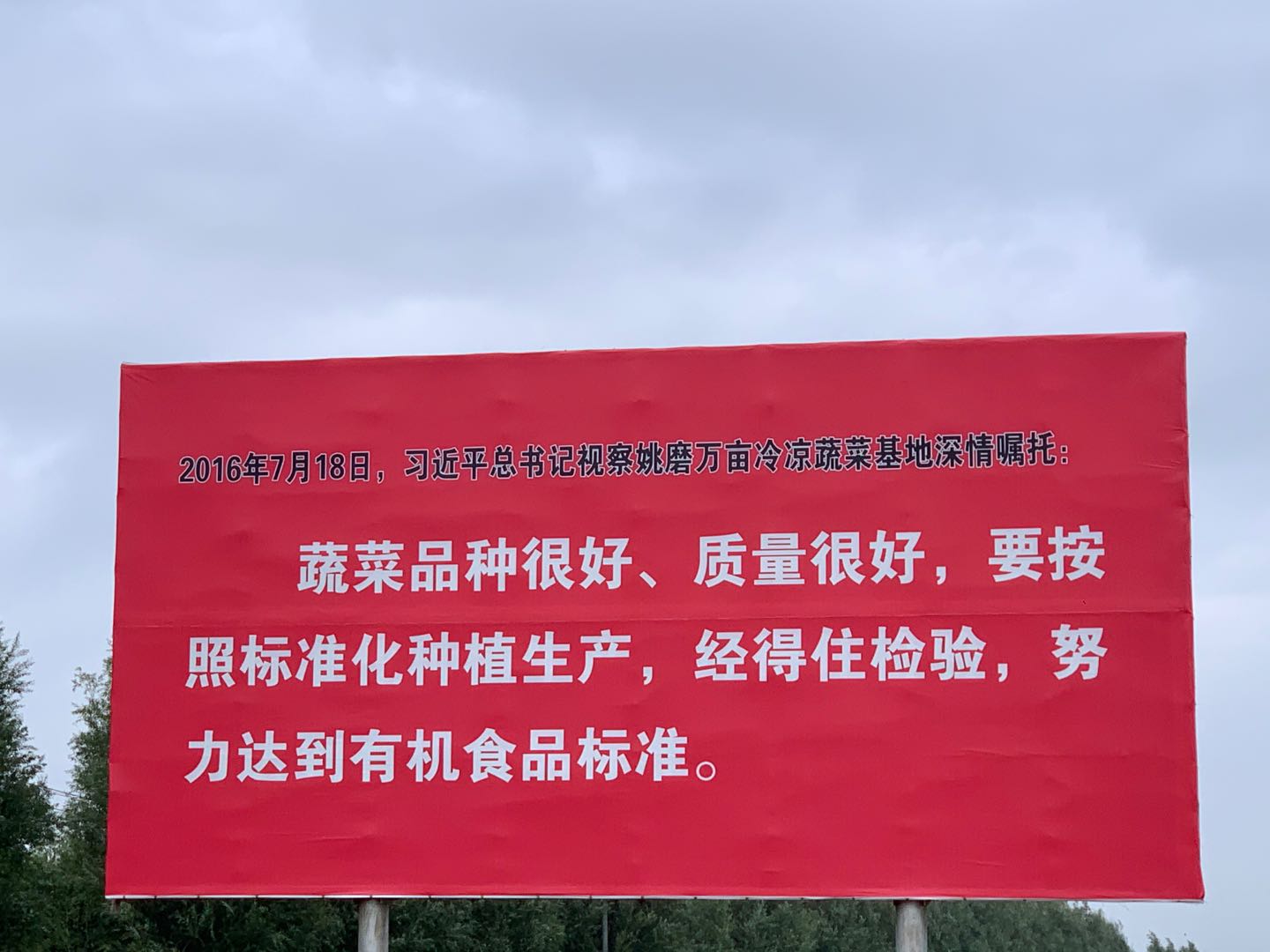 网络达人浪固原