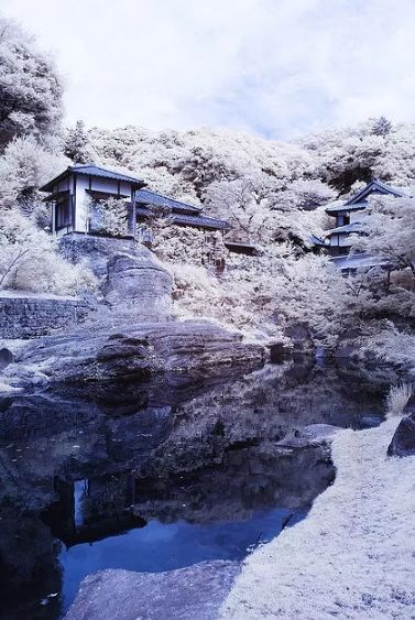 在最美的宋词里，邂逅唯美至极的冬天！-第5张图片-非凡网