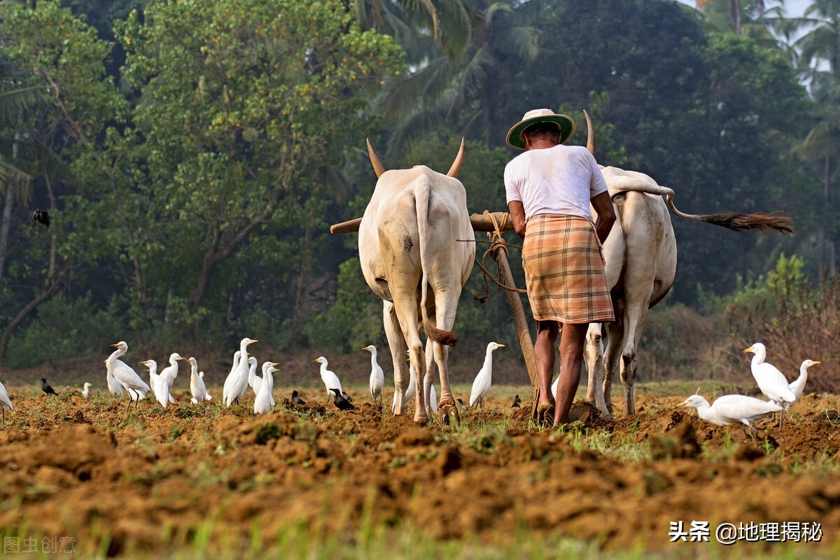 印度人給你的第一印象是什麽呢，自以為家裏有礦，結果自食其果