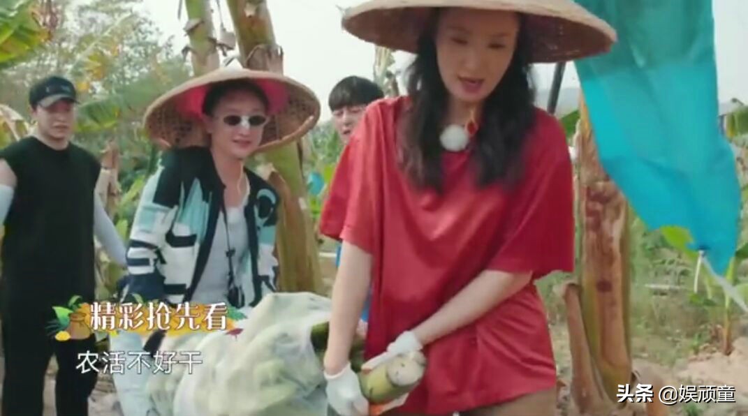 《向往的生活》将开播，节目组却突然发出“公告”，看到内容笑了