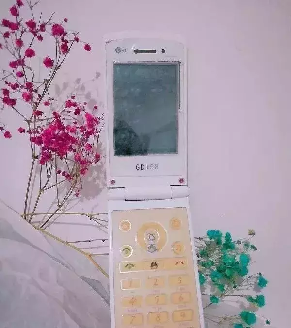汉中人，还记得你人生第一部手机吗？