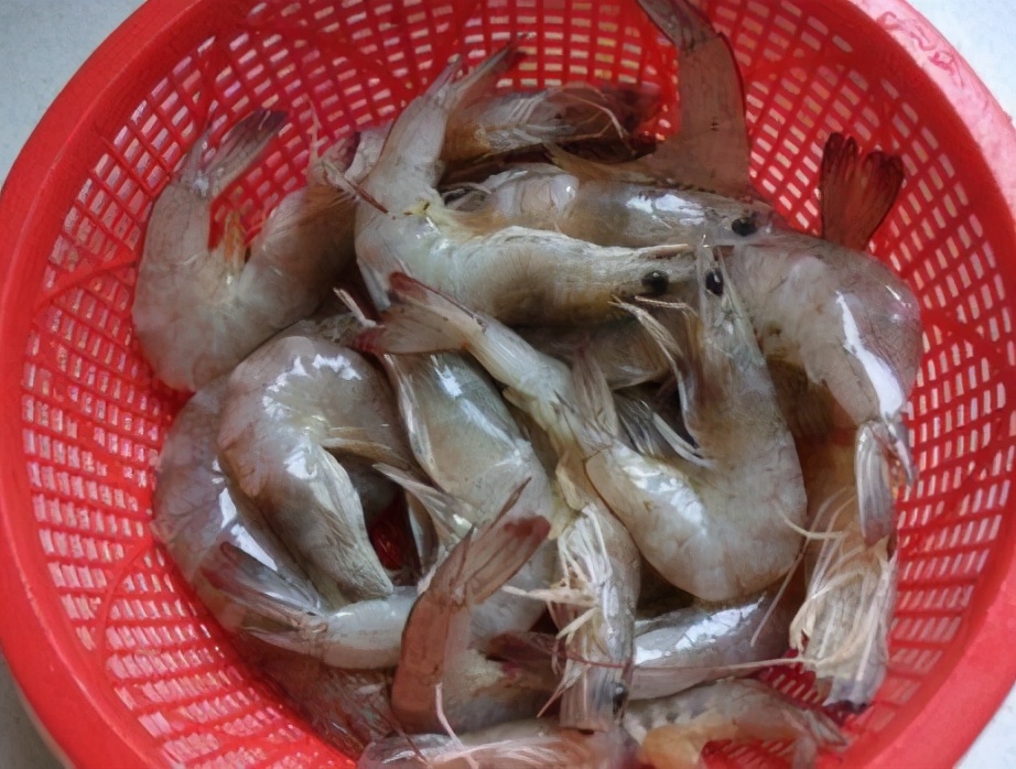 图片[2]-盐焗虾的做法步骤图 比红烧虾好吃-起舞食谱网