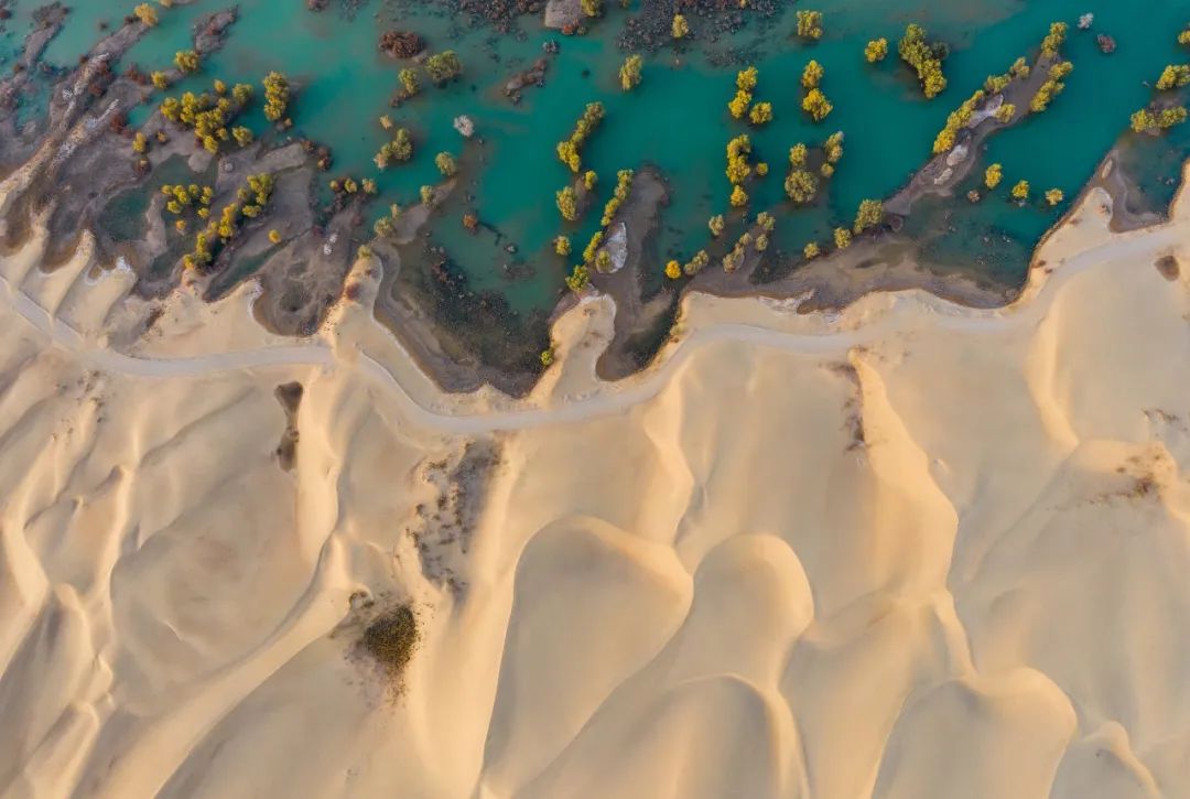 塔克拉玛干沙漠，中国最大的沙漠才不是“死亡之海”！