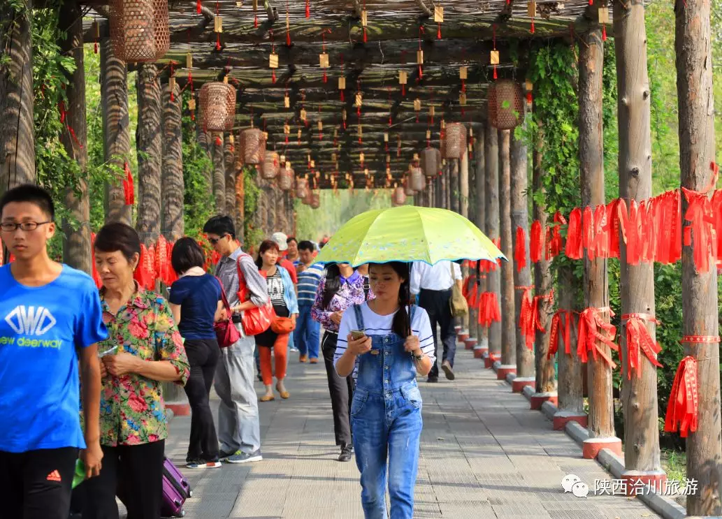中高考生憑“準考證”暑期免費暢游“洽川景區(qū)”