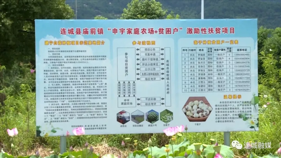 「全面推進鄉村振興」連城廟前：抓實產業發展 推動鄉村振興