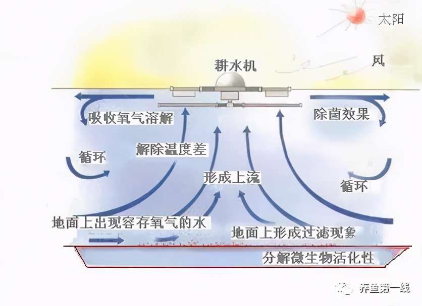 水产养殖机械增氧技术分析：利用机械增氧弥补增氧不足的问题