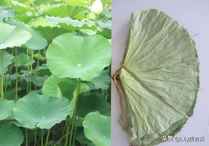 端午节包粽子，农村这7种“叶子”都能包，自带独特清香，收藏好