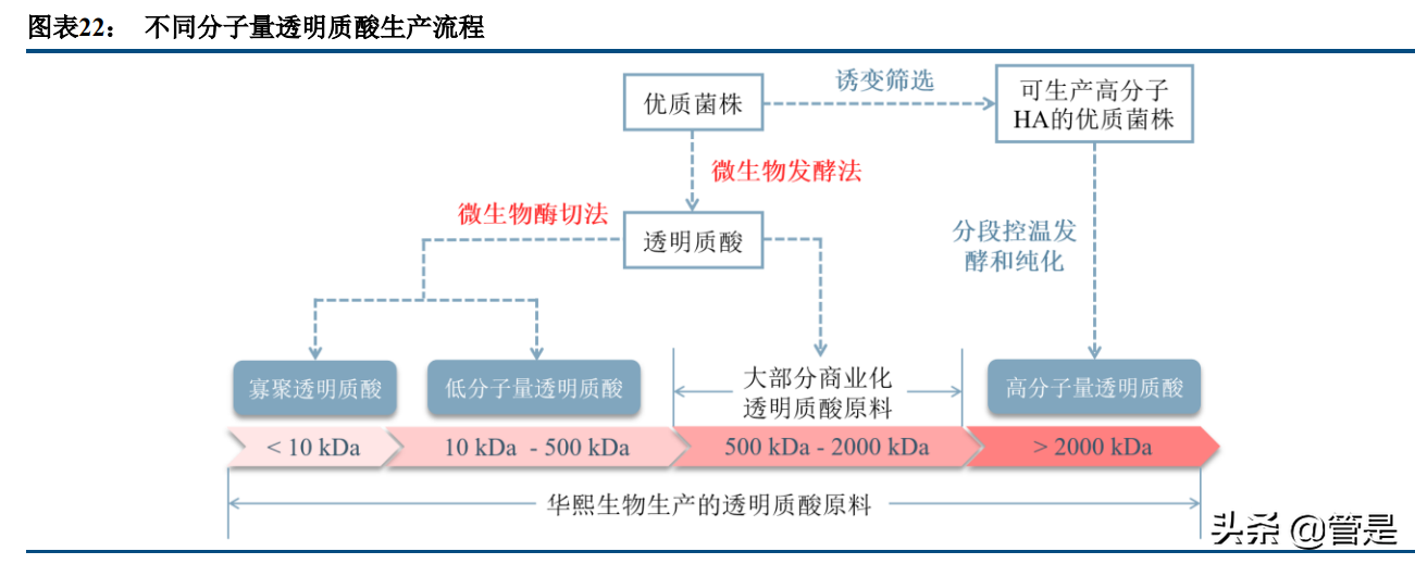 华熙生物专题报告：品牌矩阵贯穿医护两端，三地产能实现四轮驱动