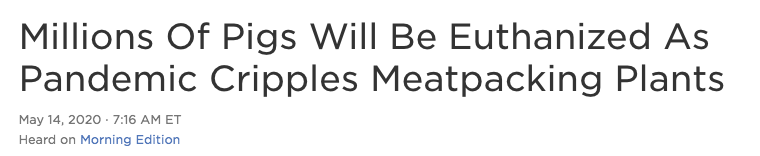 全球确诊超436万，美国确诊超145万，美国优先获