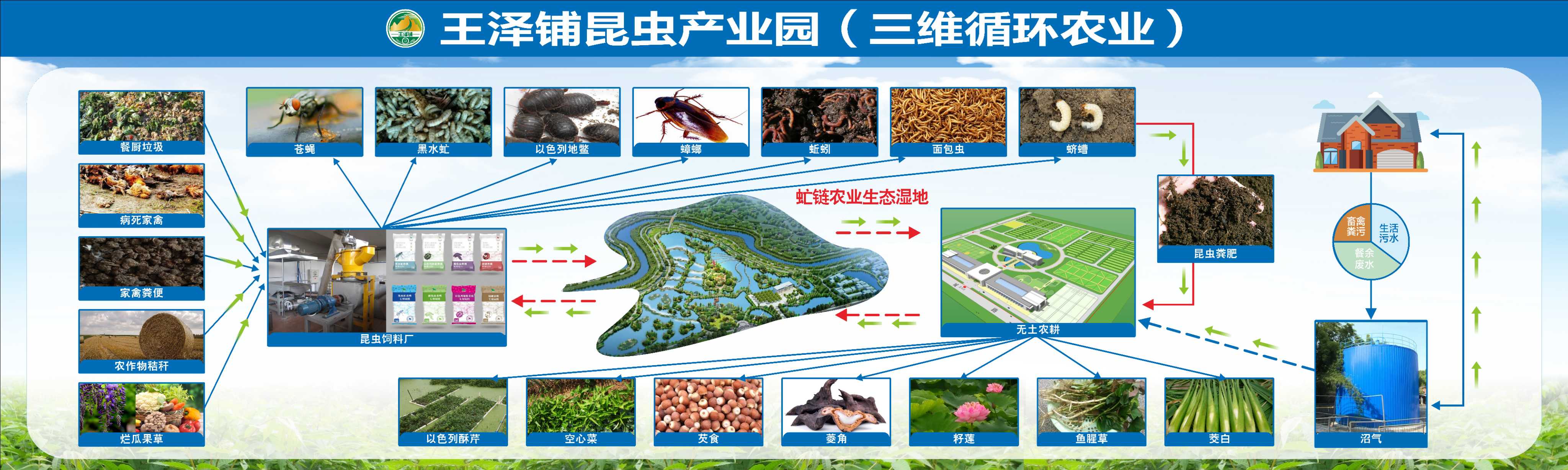 王泽铺利用黑水虻养殖搭建的三维循环农业的核心是什么？
