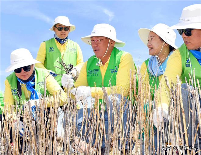 2021中国汽车论坛沪上再聚首 现代汽车集团解读碳中和战略