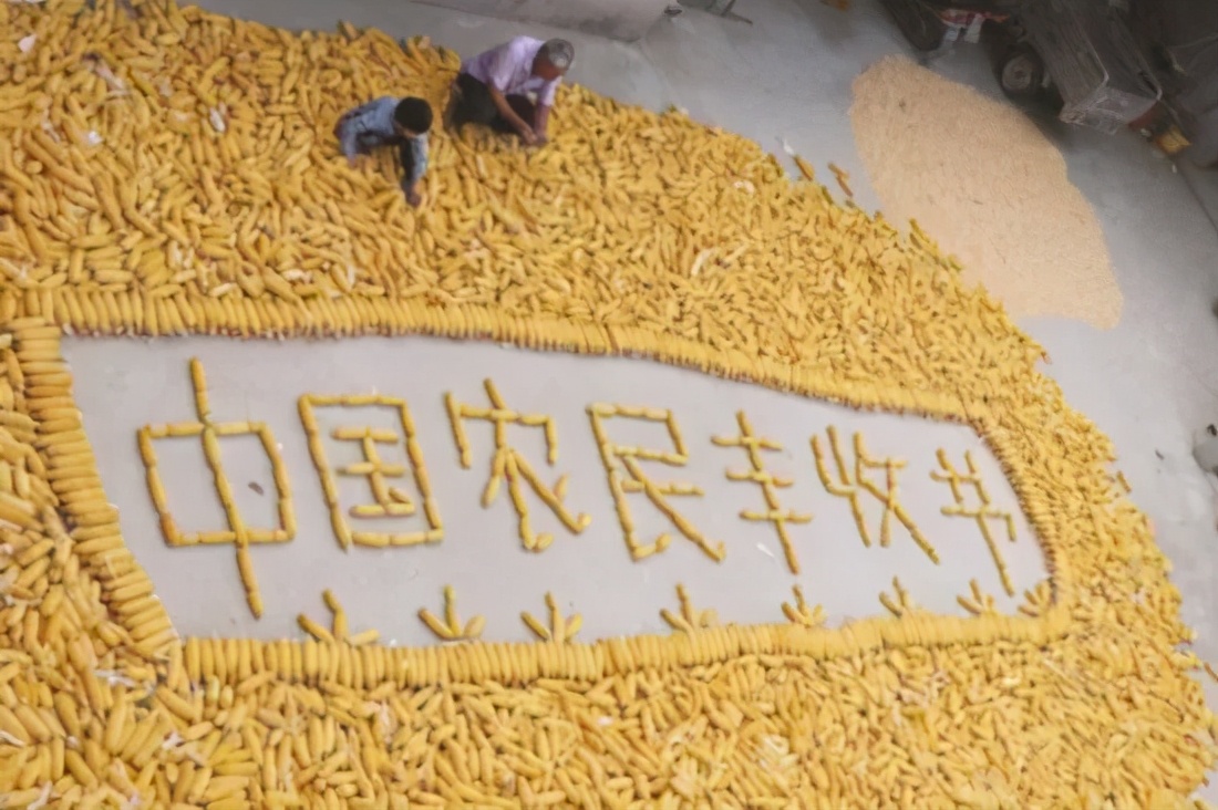 六月起，这些新规将影响你我生活