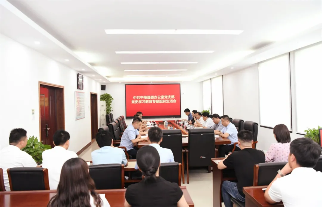 【特别报道】马同和以普通党员身份参加宁陵县委办公室党支部党史学习教育专题组织生活会