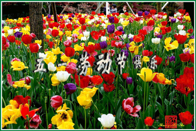 2020五一劳动节问候祝福语大全 5.1劳动节问候祝福动态表情图片