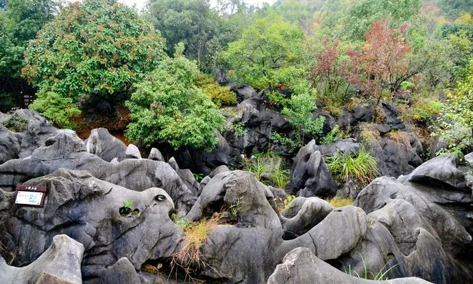 浙西的秘境山水打包送给你,这条自驾路线夏天去正好